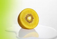 Gold Kiwifruit