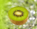 Green Kiwifruit 1