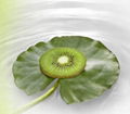 Green Kiwifruit 2