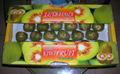 Red Kiwifruit 2