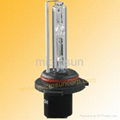 9006 xenon bulb