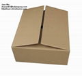 Paper carton,corrugated carton 1