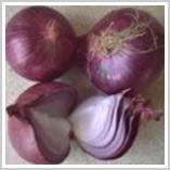 Preserved Onion in Vinegar