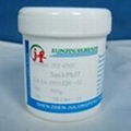 Leaded solder paste