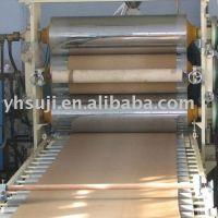 WPC Board Extrusion Line