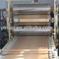 WPC Board Extrusion Line