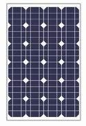 50W Monocrystalline Solar Panel (solar module)