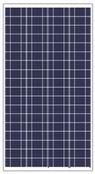 100W Polycrystalline Solar Panel(pv module)