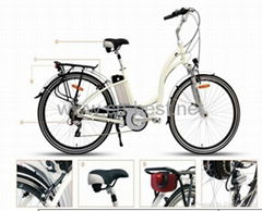 city bike(250W)