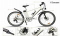 electric bicycle female 1