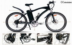 electric bike