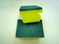 sponge scouring pad