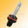 H11 Xenon Lamp(Hot seller)