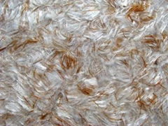 Living room decoration materials-Silk plaster