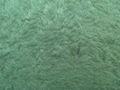 Living room decoration materials-Silk plaster 1