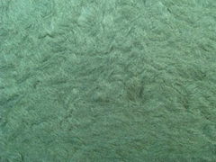 Living room decoration materials-Silk plaster