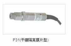 E+H恩德斯豪斯T系列小型化模拟型压力变送器 3