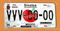 Oval License Plate  2