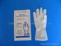 Latex Surgical Gloves (Powdered) 1
