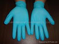 Nitrile Exam Gloves (Powdered) 1