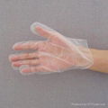 Disposable PE Gloves (LDPE Gloves)   1