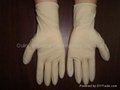 Latex Exam Gloves (Powder-free) 1