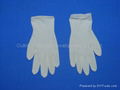 Latex Surgical Gloves (Powder-free) 1