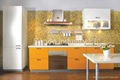 Contemporary kitchen cabinet