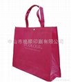 中山环保购物袋