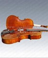 European Materials'violin    1