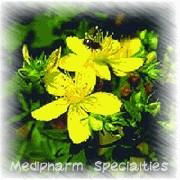 St. John's Wort Extract