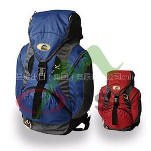 Vulture 30L backpack