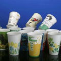 PE coated cup paper