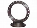 pipe fitting--carbon steel welding neck flange