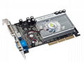 FX5500 (256MB GDDR2) 1