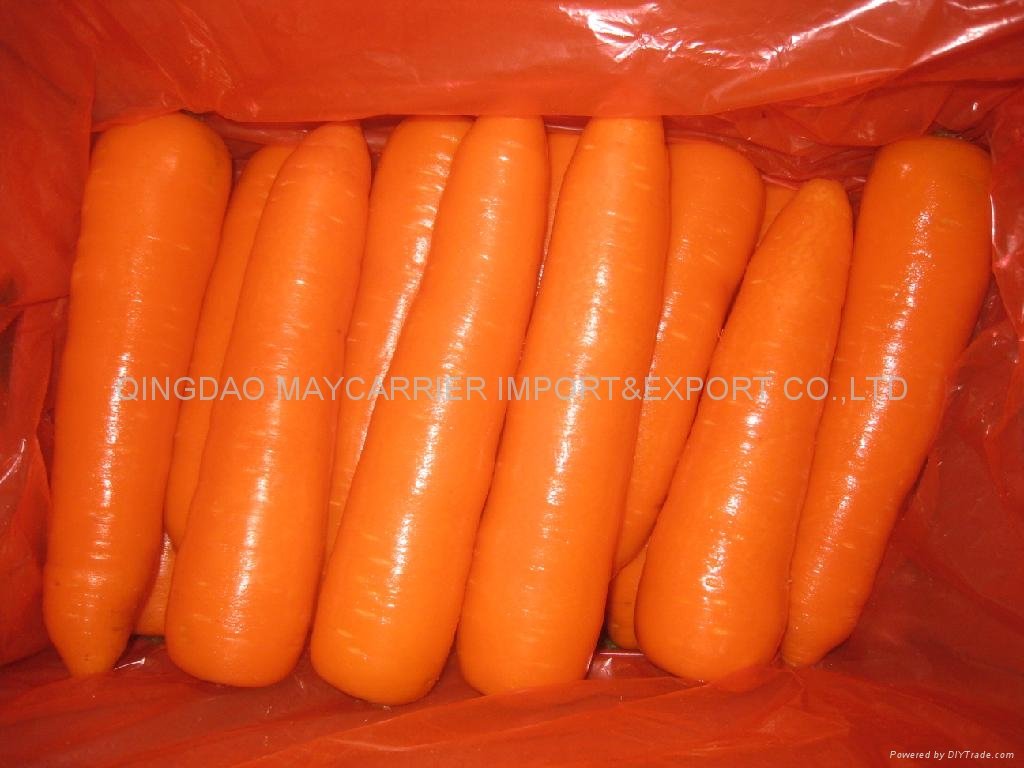 Fresh carrot 2