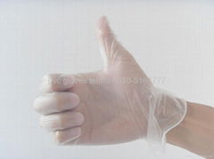 Suppy disposable vinyl powdered and powder free gloves