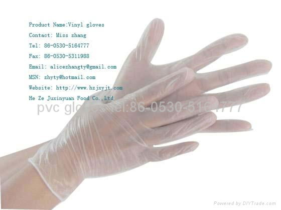 Vinyl Powder Free Gloves