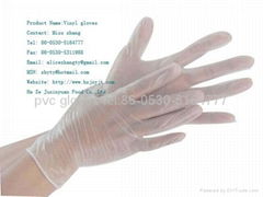 Vinyl Powder Free Gloves