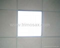 Official LIight/Ceiling Light 1