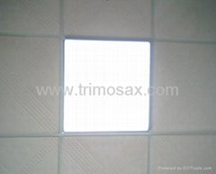Official LIight/Ceiling Light
