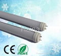 20w T8 LED tube light