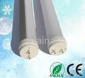 5 Years warranty T8 LED tube