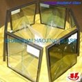 Insulated Glass 5