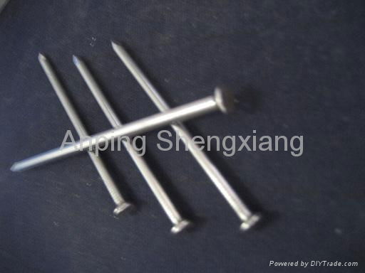 common wire nail 3