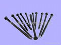 common wire nail 4