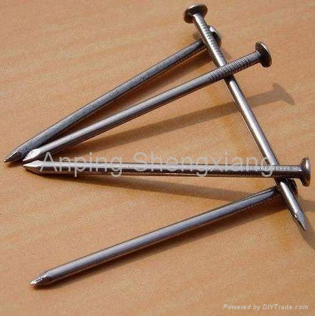 common wire nail