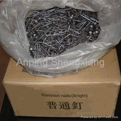common wire nail 5