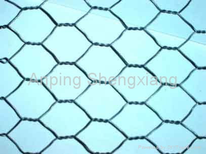 hexagonal wire netting