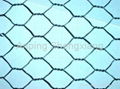 hexagonal wire netting 1